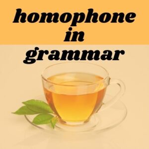 Examples of homophones